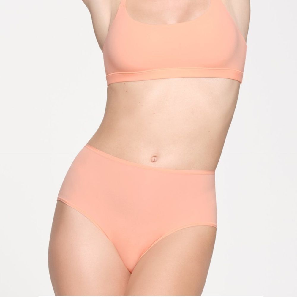 SKIMS fits everybody full brief color‎ faded nectar size L NWT in packaging